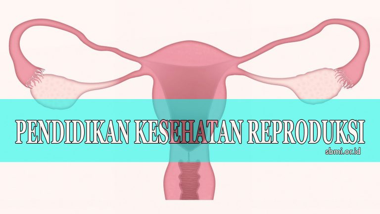 catahu 2020 komnas perempuan, 5 rekomendasi untuk pemerintah 08/09/2024